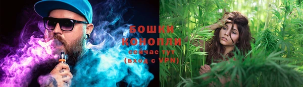 индика Иннополис