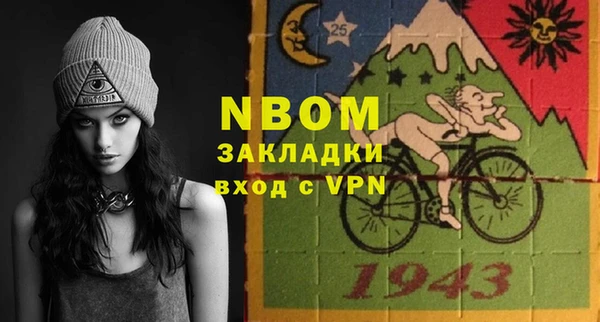 apvp Инсар