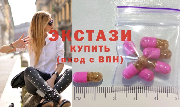 индика Иннополис