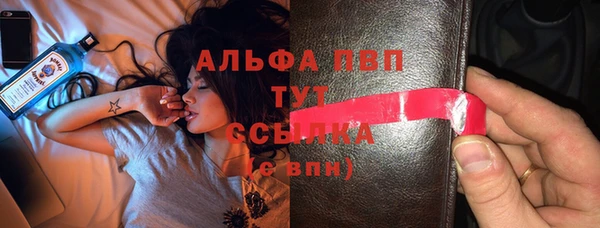 apvp Инсар