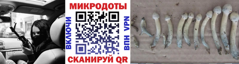 Галлюциногенные грибы Psilocybe  Купить  Ленинск-Кузнецкий 