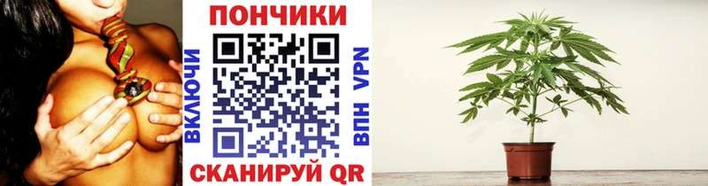 Канабис VHQ  Купить закладки  Ленинск-Кузнецкий 